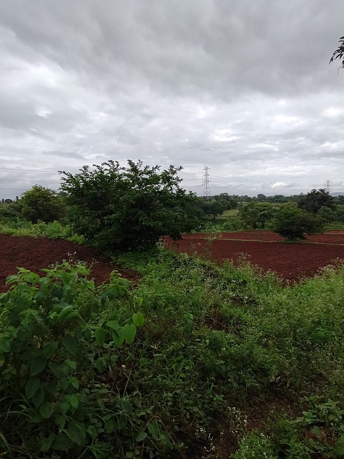 Scrub and cultivated ground under a heavy grey sky.