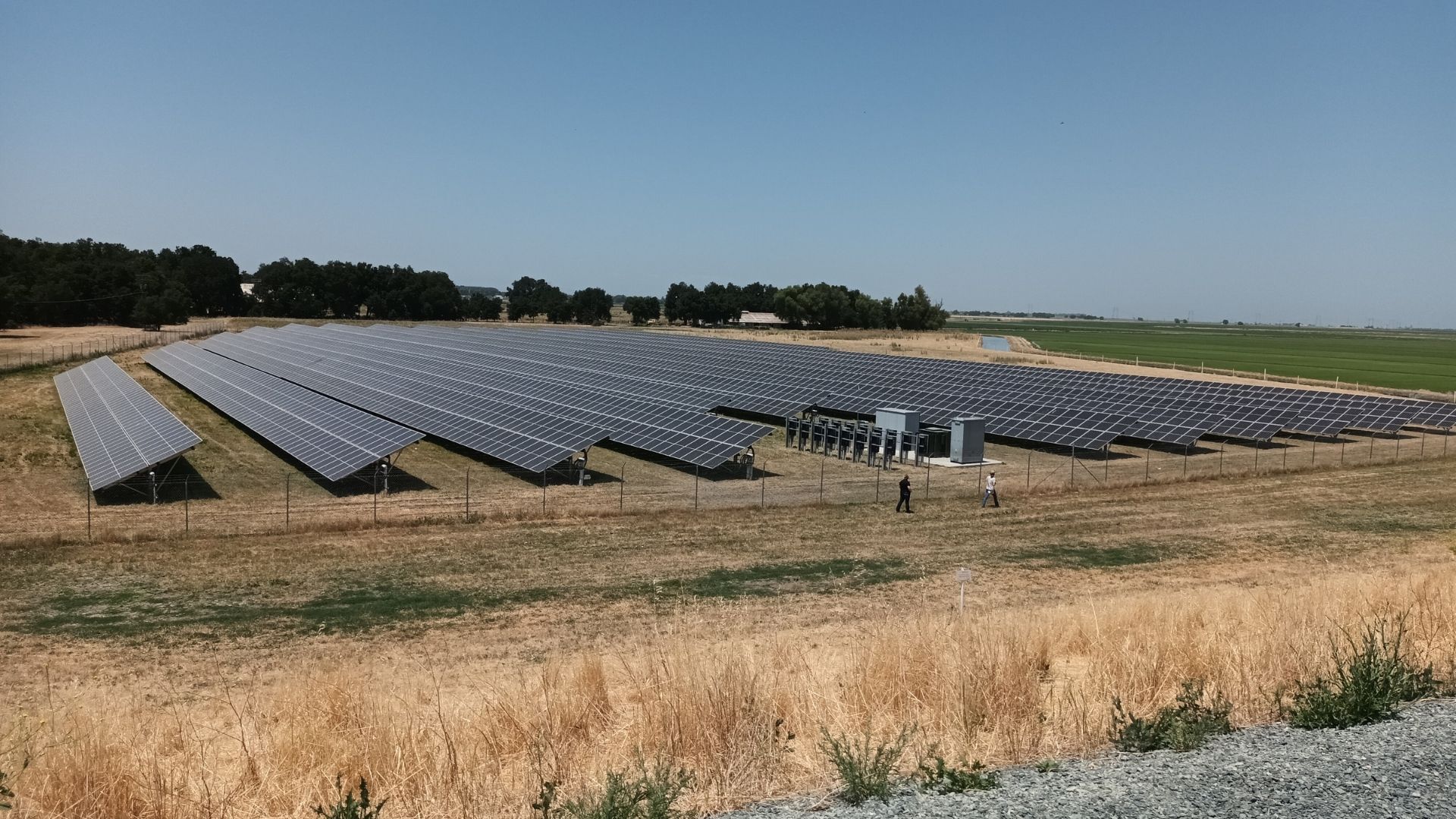 A ground-mounted solar array in a dry field, seen along the rows.