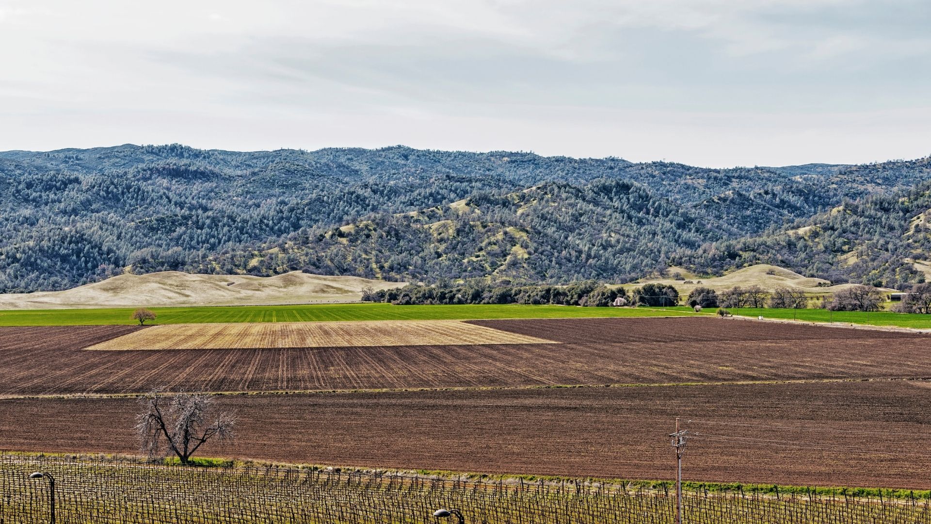 Cultivated valley floor with rolling dry hills beyond.
